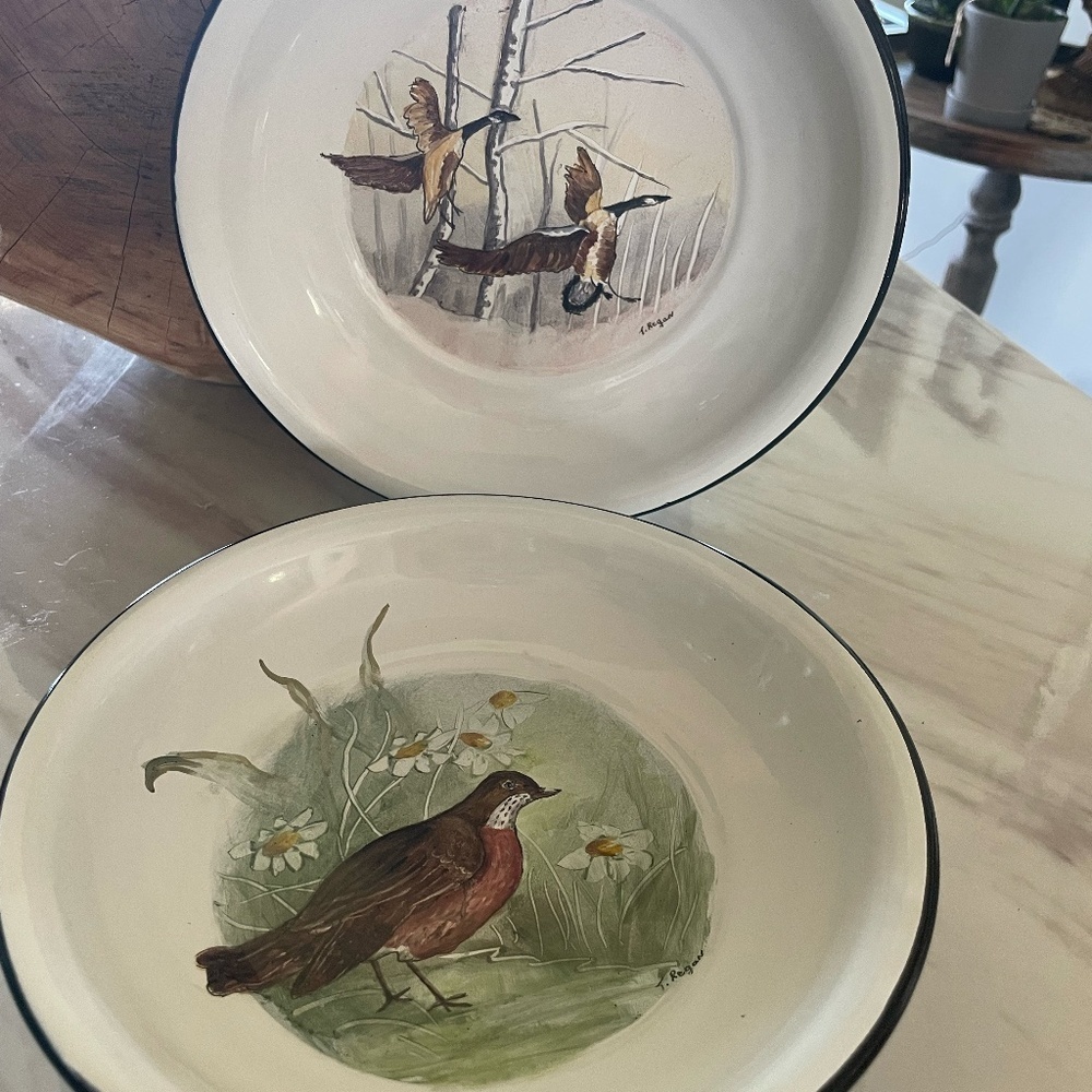 SET OF 2 VINTAGE PAINTED BIRD THEME ENAMEL SOUP/SALAD BOWLS